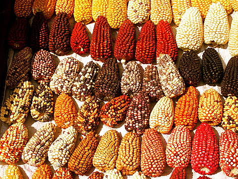 Arequipa on a Budget: Cheap Routes, Stays and Tips