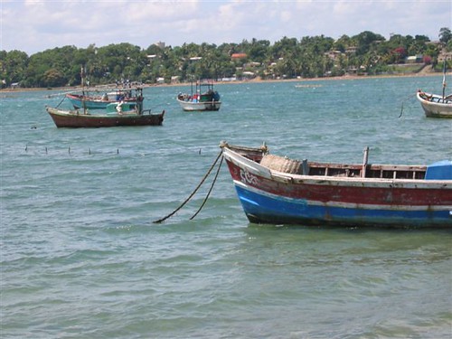 Trincomalee on a Budget: Cheap Routes, Stays and Tips