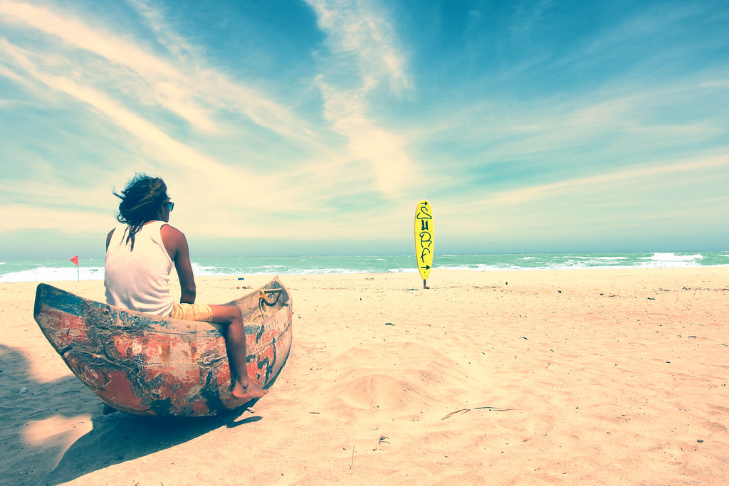 Palomino on a Budget: Cheap Routes, Stays and Tips