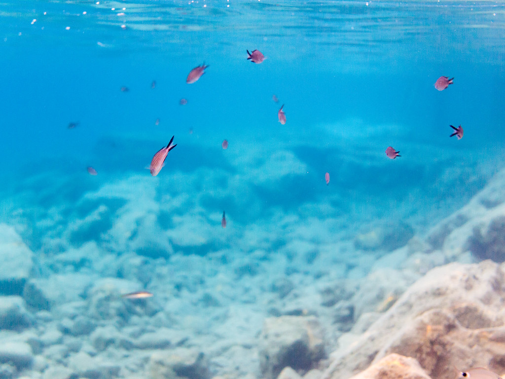 Bodrum on a Budget: Cheap Routes, Stays and Tips