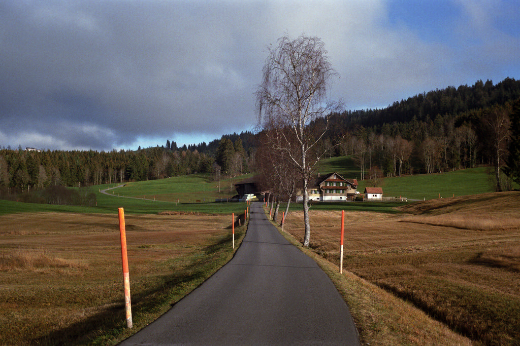 Swiss Alps on a Budget: Affordable Routes and Free Things to Do