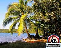 Rio Dulce on a Budget: Cheap Routes, Stays and Tips