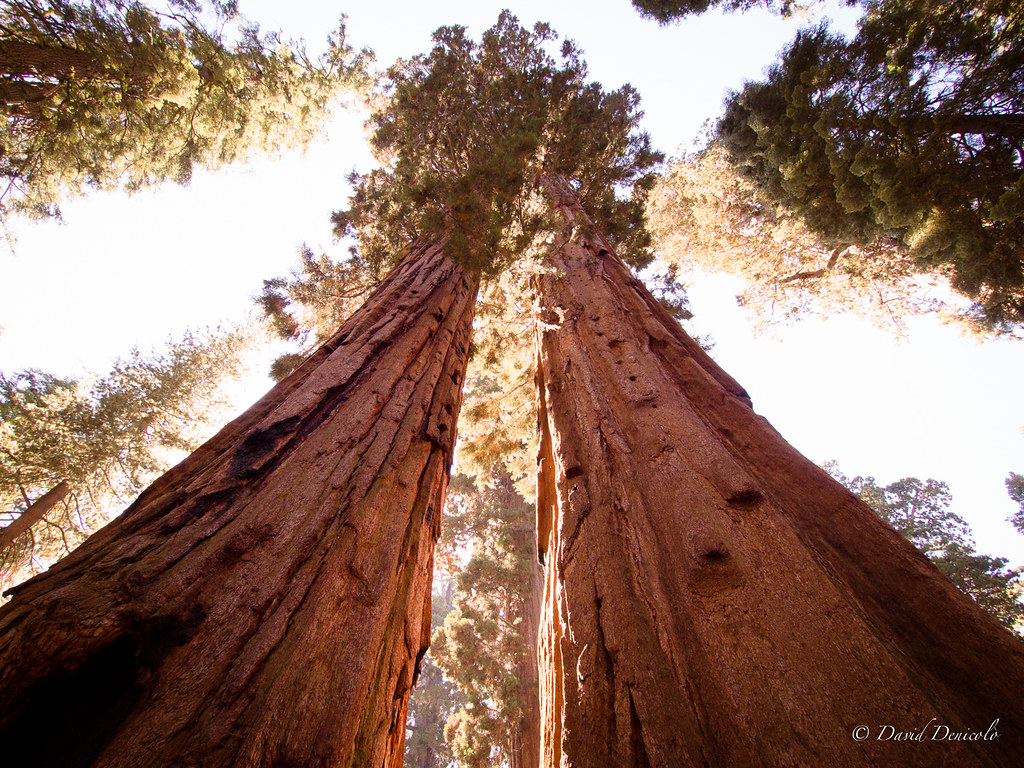 Yosemite on a Budget: Cheap Routes, Stays and Tips