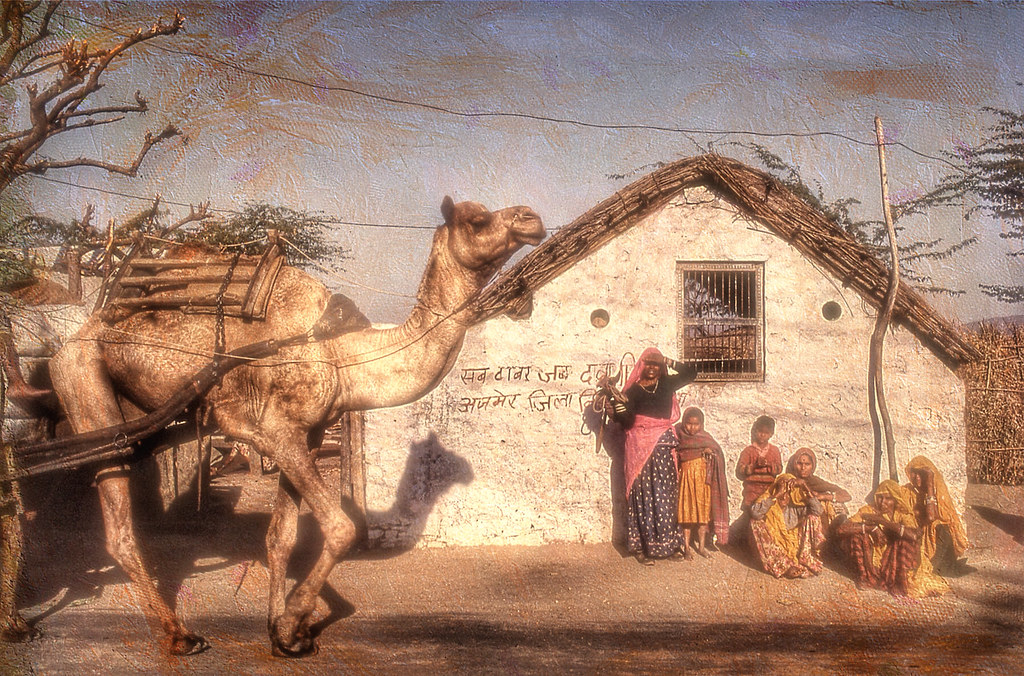 Jaisalmer on a Budget: Cheap Routes, Stays and Tips