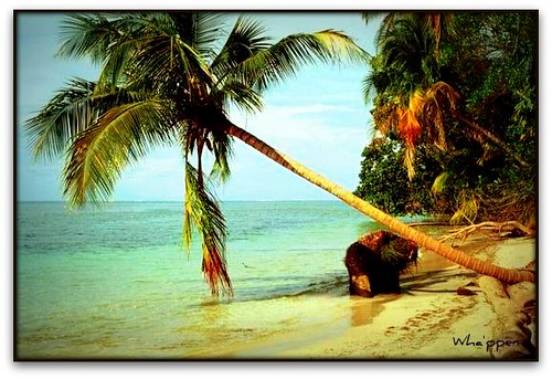Puerto Viejo on a Budget: Cheap Routes, Stays and Tips