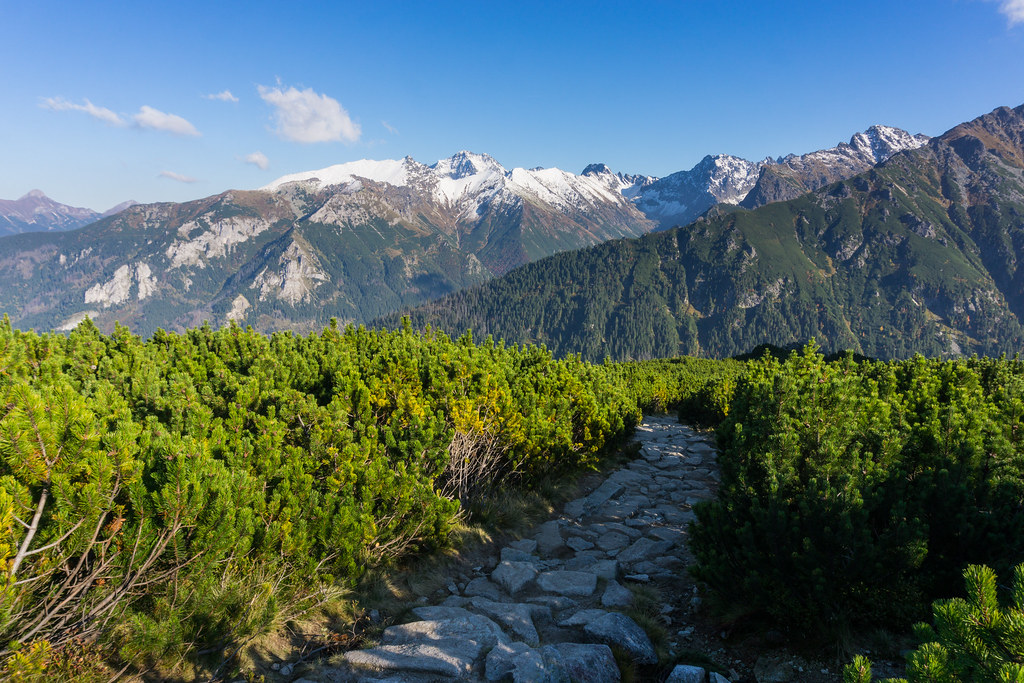 Zakopane on a Budget: Cheap Routes, Stays and Tips