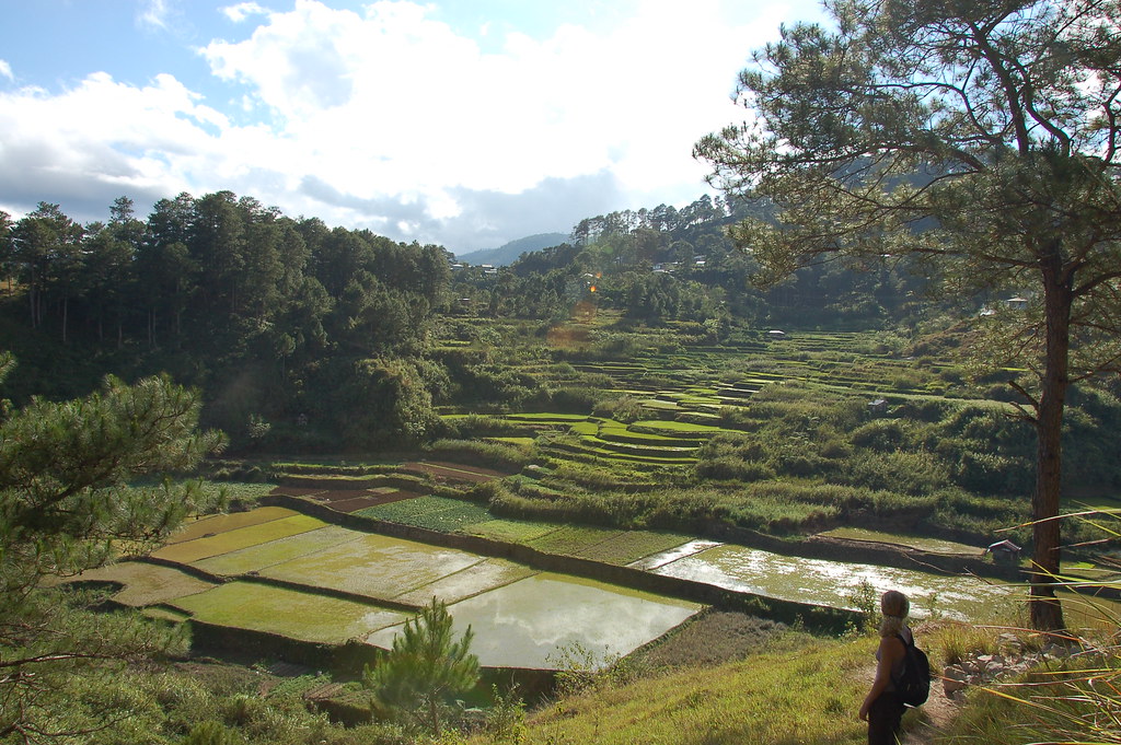 Sagada on a Budget: Cheap Routes, Stays and Tips