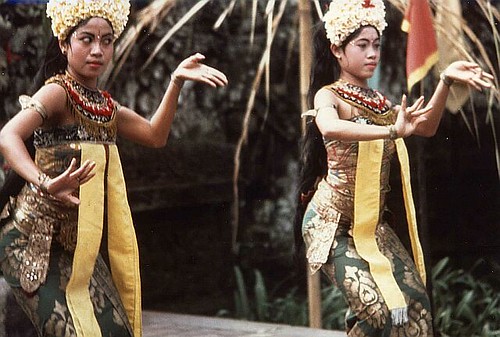 Ubud on a Budget: Cheap Routes, Stays and Tips