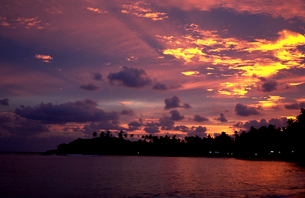 Mirissa on a Budget: Cheap Routes, Stays and Tips
