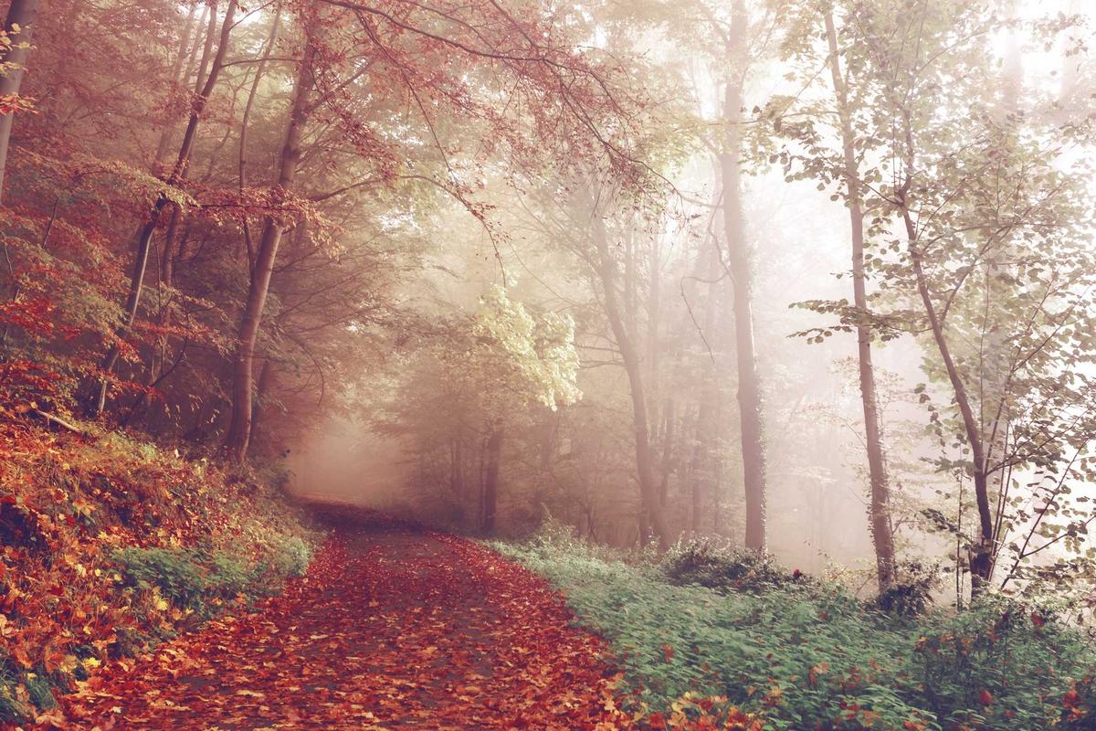 Sao Paulo on a Budget: Cheap Routes, Stays and Tips — Sao Paulo, Brazil travel guide