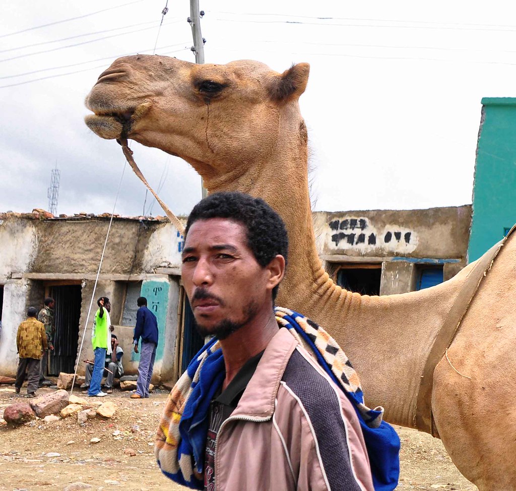 Aksum Archaeological Site UNESCO Site on a Budget: Cheap Entry, Stays and Tips