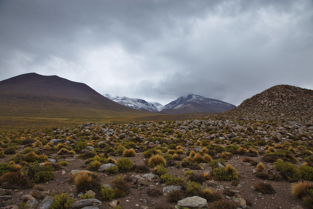 Uyuni on a Budget: Cheap Routes, Stays and Tips