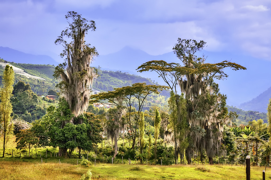 Jardin on a Budget: Cheap Routes, Stays and Tips