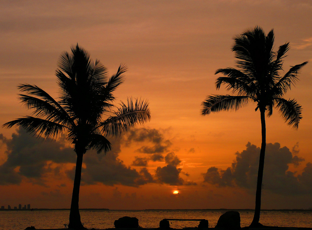 Miami on a Budget: Affordable Routes and Free Things to Do