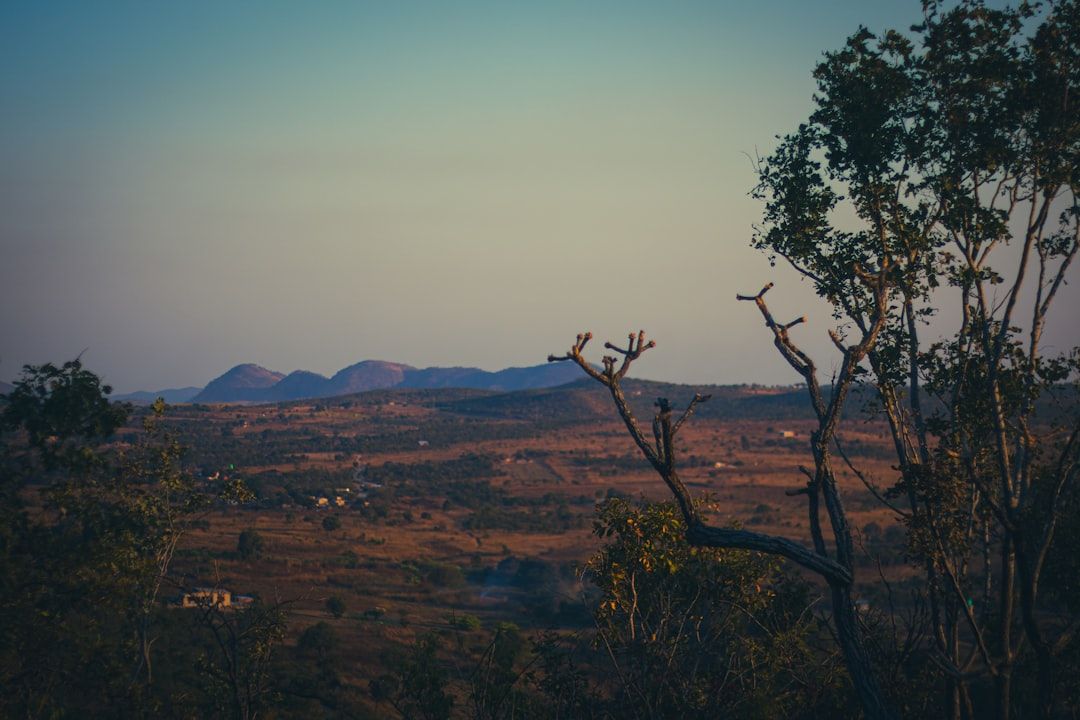 Zambia vs Zimbabwe: Which Is Right for You