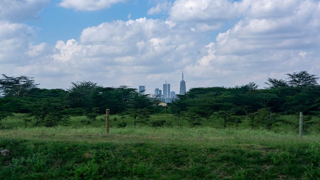 Kenya vs Tanzania: Which Is Right for You